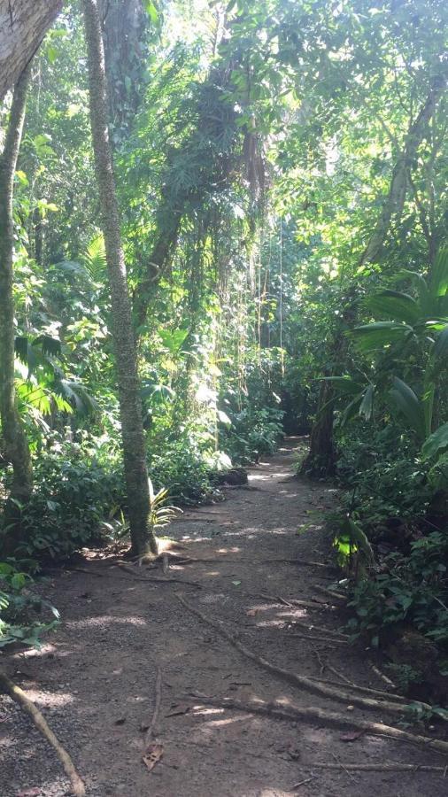Hotel Cahuita Eksteriør bilde