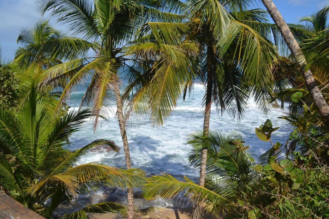 Hotel Cahuita Eksteriør bilde